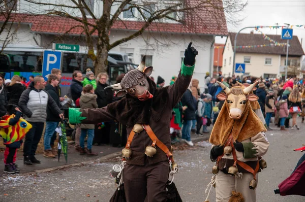 Hohenstadt - February 17, 2023: Parade participants in cow costumes and masks at the carnival parade in Hohenstadt, Germany.