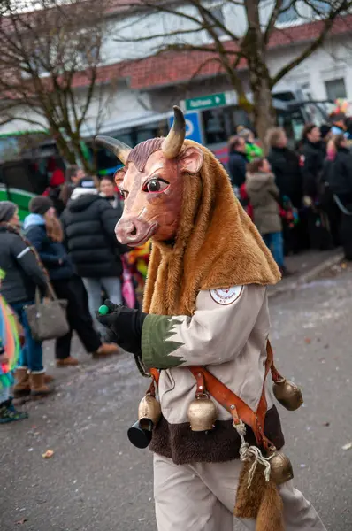 Hohenstadt - February 17, 2023: Parade participants in cow costumes and masks at the carnival parade in Hohenstadt, Germany.