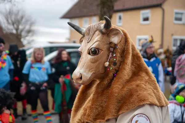 Hohenstadt - February 17, 2023: Parade participants in cow costumes and masks at the carnival parade in Hohenstadt, Germany.