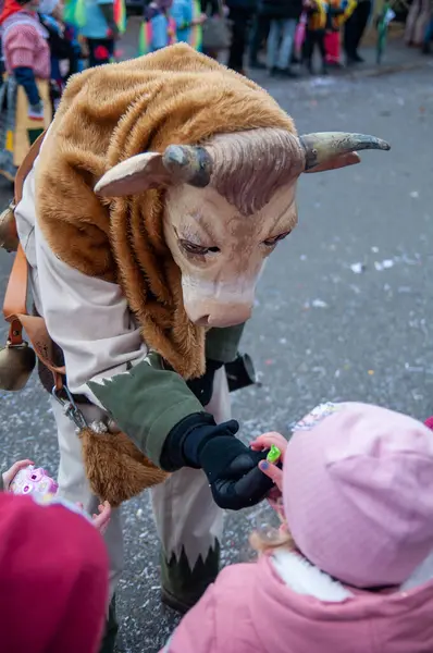 Hohenstadt - February 17, 2023: Parade participants in cow costumes and masks at the carnival parade in Hohenstadt, Germany. Distribute sweets to children