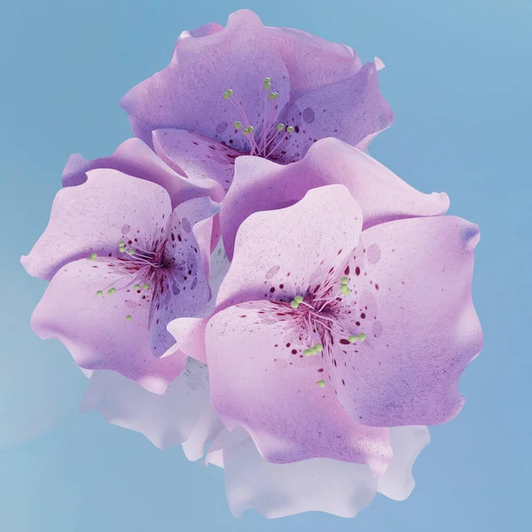 3D modellik, kiraz çiçeği, sping sakura.