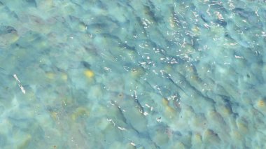 3D modellik plaj tarzı, yaz ve güneş..