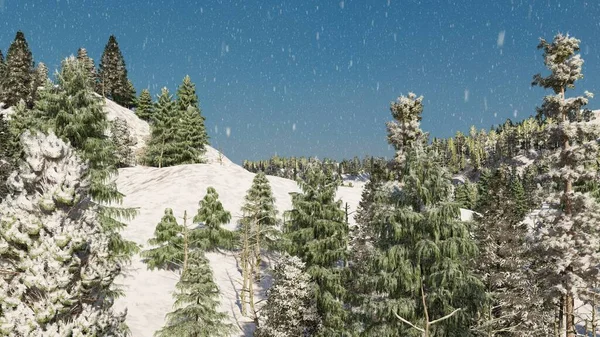 3D造型景观 雪和冬季植物 — 图库照片