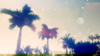 Sahilde yaz ya da sonbahar büyülü ışıklarıyla