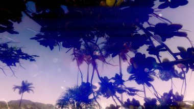 Sahilde yaz ya da sonbahar büyülü ışıklarıyla