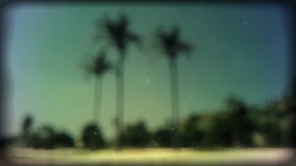 Sahilde gün batımı. Eski tarz