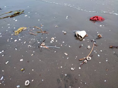Garbage dumped on the sand on the beach. beach polluted by garbage. littering on the beach.