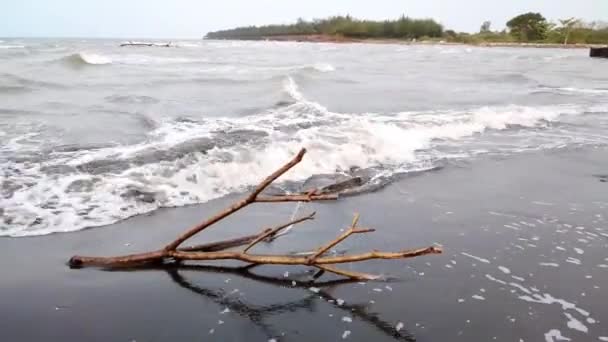 海岸に打ち寄せる波 — ストック動画