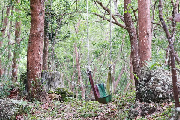 swing in the forest. tire swing. made from used car tires that are painted. children's toys, in the garden. recycled material.
