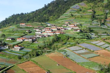 Dağ yamacındaki kırsal alan. Sabahları tepenin kırsal kesiminde. Güzel tepelerin manzarası dağlardaki harika bahar manzarasının manzarası..