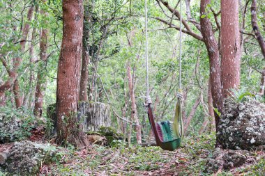 swing in the forest. tire swing. made from used car tires that are painted. children's toys, in the garden. recycled material.