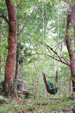 swing in the forest. tire swing. made from used car tires that are painted. children's toys, in the garden. recycled material.