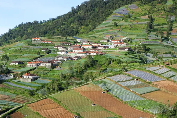 Dağ yamacındaki kırsal alan. Sabahları tepenin kırsal kesiminde. Güzel tepelerin manzarası dağlardaki harika bahar manzarasının manzarası..