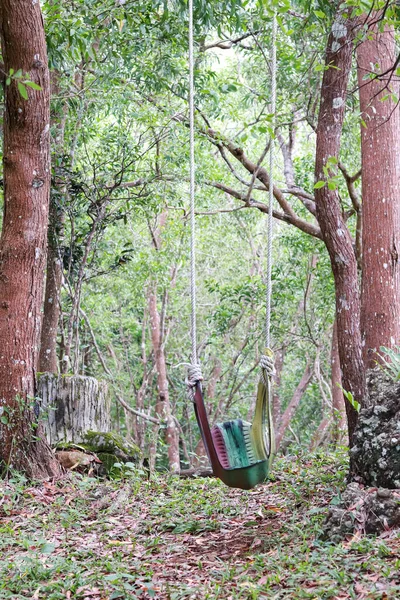 swing in the forest. tire swing. made from used car tires that are painted. children's toys, in the garden. recycled material.