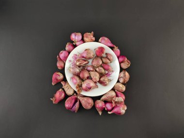 Taze soğanları kapatın. Bitki ya da baharat. Aşçılıktaki ana baharat. Lezzet arttırıcı. izole konsept, fotoğraf stüdyosu.