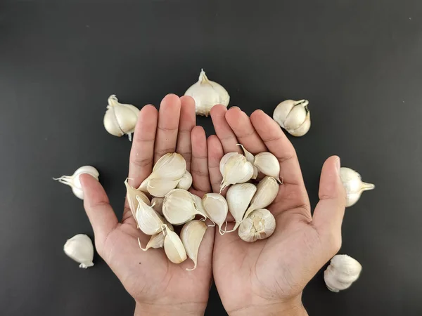 stock image close up garlic. herbs or spices. the main seasoning in cooking. flavor enhancer. with isolated concept, photography studio.