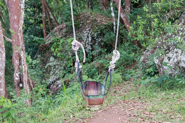 swing in the forest. tire swing. made from used car tires that are painted. children's toys, in the garden. recycled material.