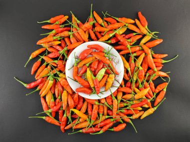 Cayenne biberi. Kırmızı biber. Capsicum cinsi. Renkli biberler. Lezzet arttırıcı. Zımba yiyeceği. Çok baharatlı ve soyutlanmış bir kavram. Yukarıdan bak. Stüdyo çekimi..