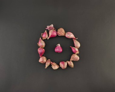 Taze soğanları kapatın. Bitki ya da baharat. Aşçılıktaki ana baharat. Lezzet arttırıcı. izole konsept, fotoğraf stüdyosu.