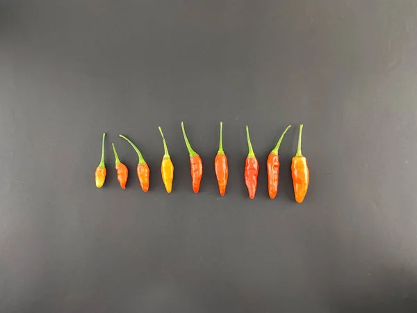Cayenne pepper. red chili pepper. Capsicum genus. colorful chilies. flavor enhancer. staple food. very spicy and isolated concept. view from above.studio shoot.