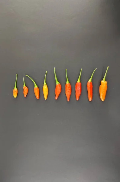 Cayenne pepper. red chili pepper. Capsicum genus. colorful chilies. flavor enhancer. staple food. very spicy and isolated concept. view from above.studio shoot.