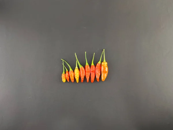 Cayenne pepper. red chili pepper. Capsicum genus. colorful chilies. flavor enhancer. staple food. very spicy and isolated concept. view from above.