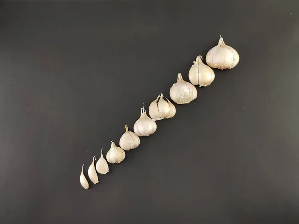 close up, garlic. herbs or spices. the main seasoning in cooking. flavor enhancer. with isolated concept, photography studio.