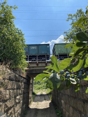 The old railway stone bridge with a train is overgrown with bushes and trees.