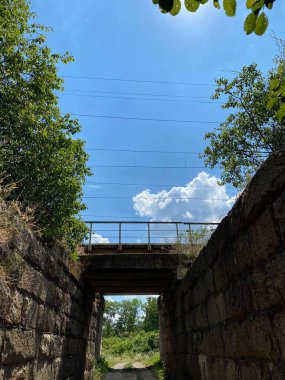 The old railway stone bridge with a train is overgrown with bushes and trees.
