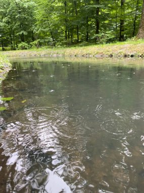 It's raining on the water canal in the city park green trees and the sky is reflected