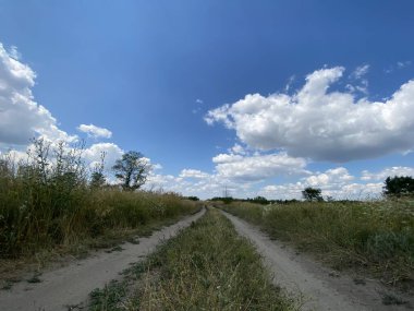 The sun behind the big clouds and its rays shine on the sky and the earth are green.