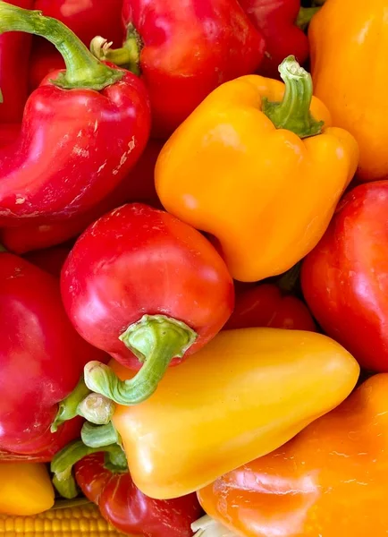 Bright yellow and red pepper mixed with different varieties of vegetables close-up with corn.