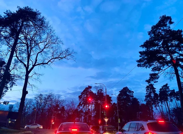 stock image Cars standing at the traffic light in the evening against the background of the blue sky and tall trees