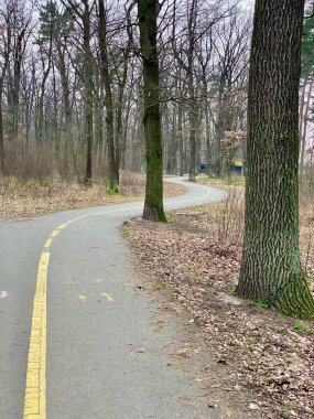 Yeşil ağaçların arasında parktaki yaya asfaltı yolu.
