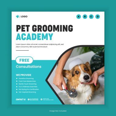 et Care and Grooming Training Center Social Media Post and Animal Care Training Academy Instagram Post Square Flyer Design Template. Online Pet Care Course Web Banner Design Template clipart