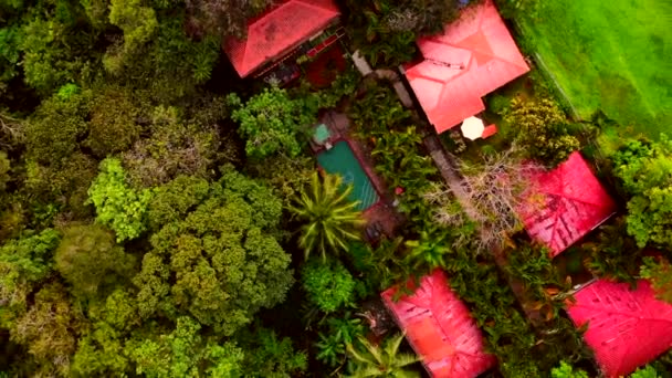 Jungle Pool Costa Rica City Quepos Drone Beautiful Swimming Pool — Stockvideo
