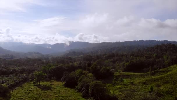 Aerial Shot Jungle Puntarenas Costa Rica High Quality Footage — Video Stock