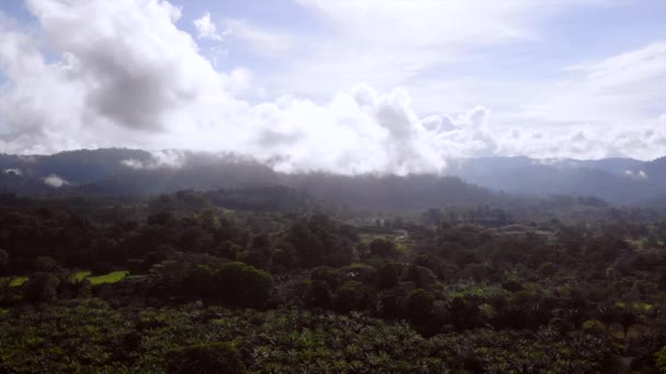 Aerial Shot Jungle Puntarenas Costa Rica High Quality Footage — Wideo stockowe