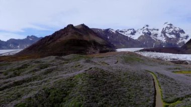 Drone point of view, Icelandic nature from above. Aerial view of lupin flowers field in Iceland. Mountain and glacier in the background. High quality 4k footage Mountain and glacier in the background.