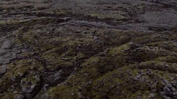 Aereo Volare Vicino Sopra Muschio Coperto Rocce Laviche Islanda Filmati — Video Stock