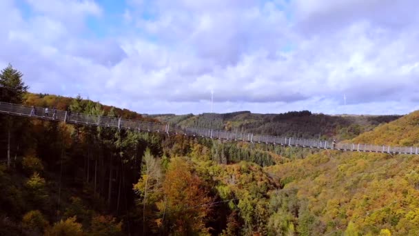 Vuelo Sobre Puente Colgante Geierlay Alemania Imágenes Fullhd Alta Calidad — Vídeo de stock