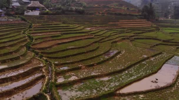Lao Cai Vietnam Aerial Drone Clip 高质量的4K镜头 — 图库视频影像