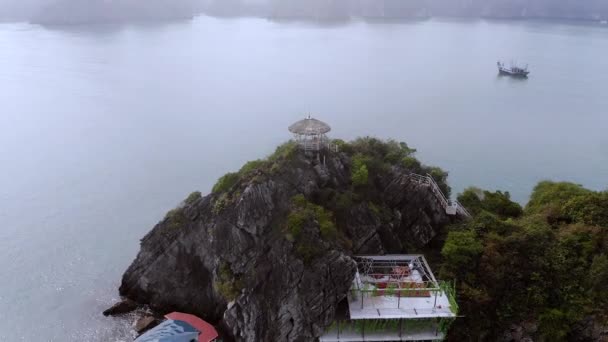 Volare Sopra Famosa Isola Delle Scimmie Halong Bay Vietnam Filmati — Video Stock
