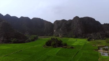 Vietnam 'ın Ninh Binh kasabası yakınlarında pirinç tarlaları ve kayalar. Yüksek kalite 4k görüntü