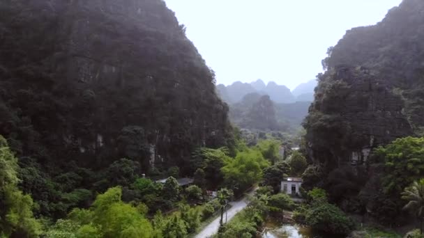 Arroces Rocas Cerca Ciudad Ninh Binh Vietnam Imágenes Alta Calidad — Vídeos de Stock