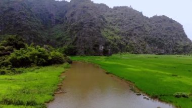 Tam Coc Bich Dong hava manzaralı pirinç tarlası Ngo Dong, Ninh Binh, Vietnam. Yüksek kalite 4k görüntü