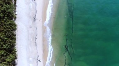  Nha Trang, Vietnam. Kumsalda ve denizde uçan bir dron. Yüksek kalite 4k görüntü