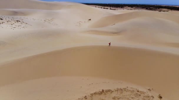 Vietnam Bir Çöl Kumunun Tepesinde Uçan Bir Hava Yüksek Kalite — Stok video