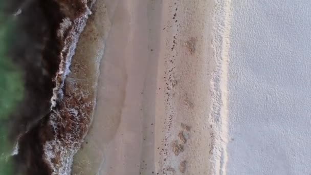 Celestun Beach Yucatan Mexico High Quality Footage — Stock Video