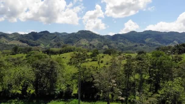 メキシコ熱帯マウンテンランドスケープグリーンジャングルヒルズ近くの宮殿 ドローン 高品質の4K映像 — ストック動画